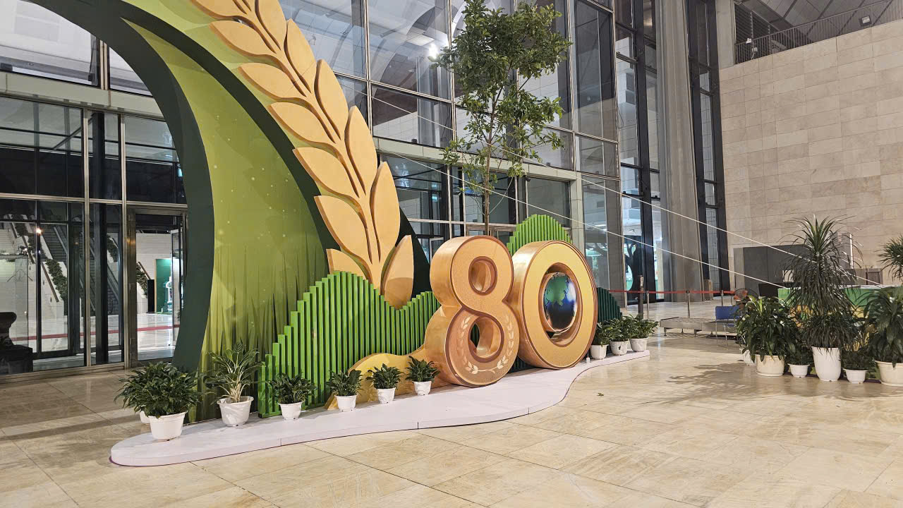 z7366808273837_0b6925fb9401d4b4325b27e118fb0496