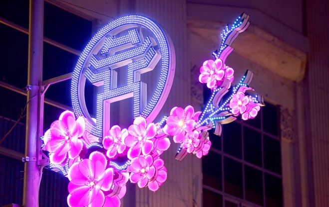 hoa_van_trang_Tri_duong_pho