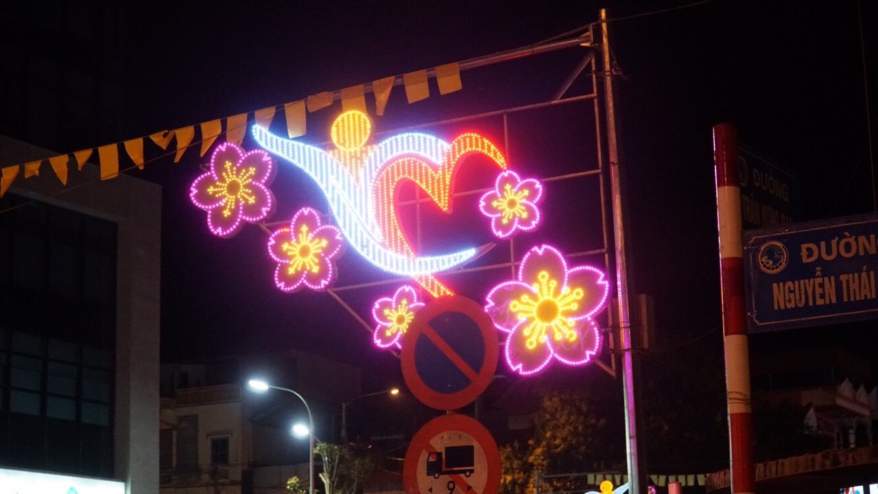 hoa_van_trang_Tri_duong_pho_1