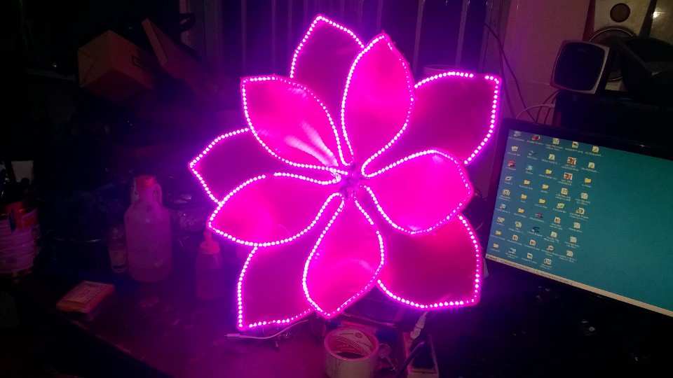 hoa_van_trang_Tri_duong_pho_3